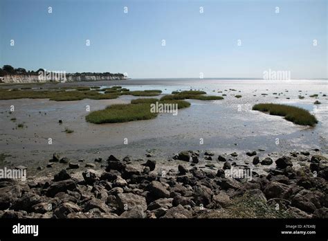 Pegwell bay nature reserve hi-res stock photography and images - Alamy