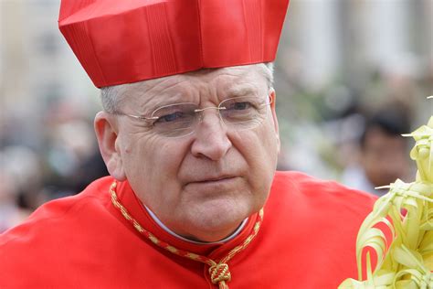 Pope Francis Demotes Cardinal Raymond Burke | TIME