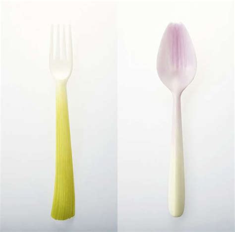 Biodegradable Food-Shaped Utensils | Biodegradable utensils, Biodegradable products, Unique ...