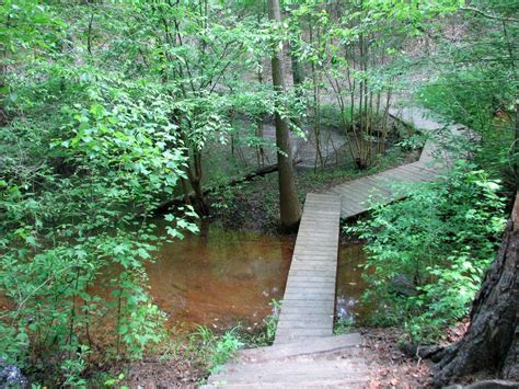 Cliffs of Neuse State Park, Goldsboro, NC | State parks, Garden bridge, Outdoor