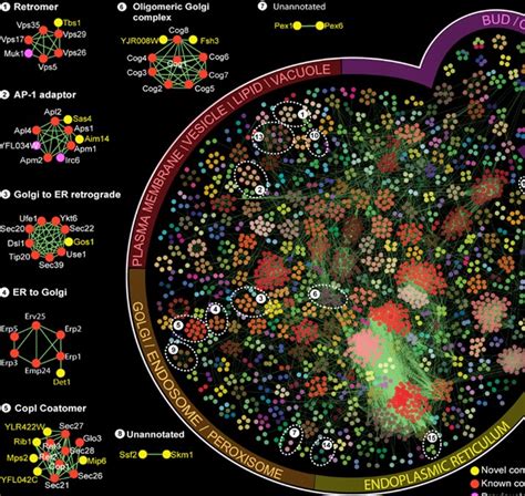 Creative-Proteomics: Creative Proteomics - Proteome-Related Services