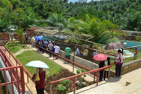 Adbenturista: Visiting Lolong, World's Biggest Captured Crocodile, at Bunawan Ecopark, Bunawan ...