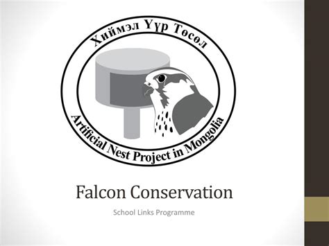 PPT - Falcon Conservation PowerPoint Presentation, free download - ID ...