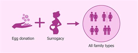 Donor Egg Surrogacy in India | Best Surrogacy Services India - Corion Fertility Clinic