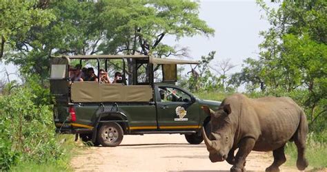 Kruger Park Game Viewing Activities : Day & Night Game Drives