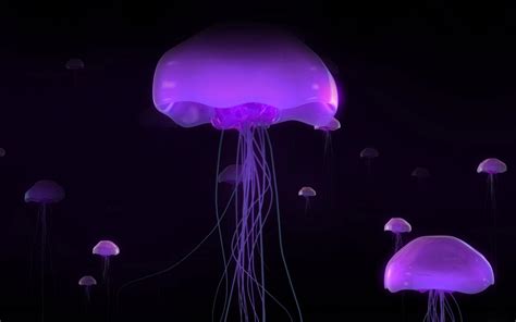 Jellyfish Live Wallpaper APK for Android Download