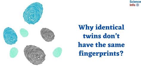 Why identical twins don’t have the same fingerprints?