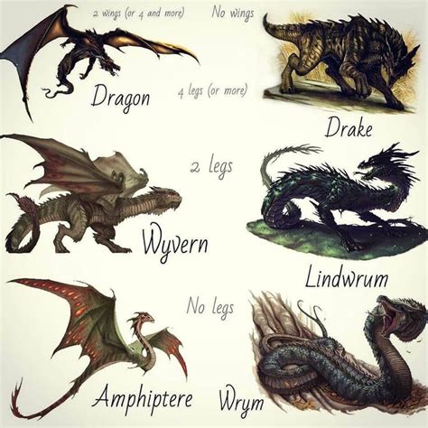 2,067 Likes, 28 Comments - Dragons & Monsters (@dragons_monsters) on ...