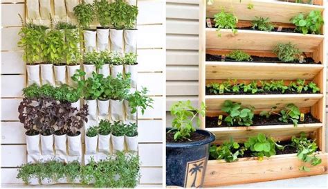 25 DIY Vertical Garden Ideas for Small Spaces | by Joseph Onyango | Medium