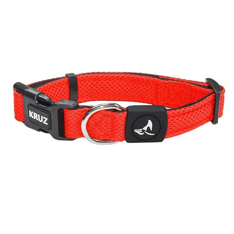 Best Dog Collar for Sensitive Skin and Neck – They Deserve the Best!