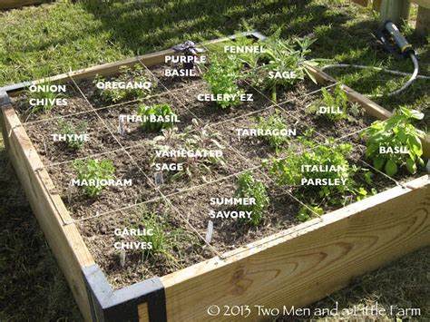 Square Foot Gardening Layout Herbs | Fasci Garden