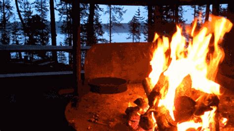 Campfire GIF - Find & Share on GIPHY