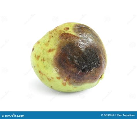 Guava Fruit, On A White Background, Tropical Fruit Royalty-Free Stock Photo | CartoonDealer.com ...