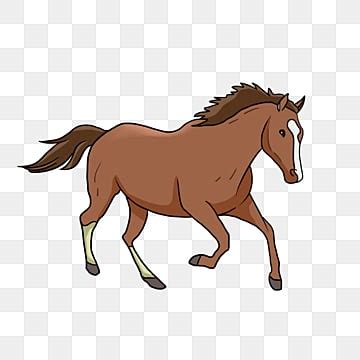 Horse Clipart, Download Free Transparent PNG Format Clipart Images on Pngtree