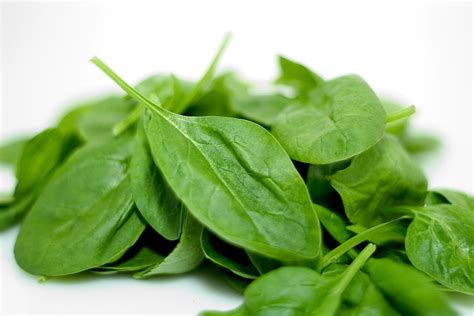 Spinach Facts, Health Benefits and Nutritional Value