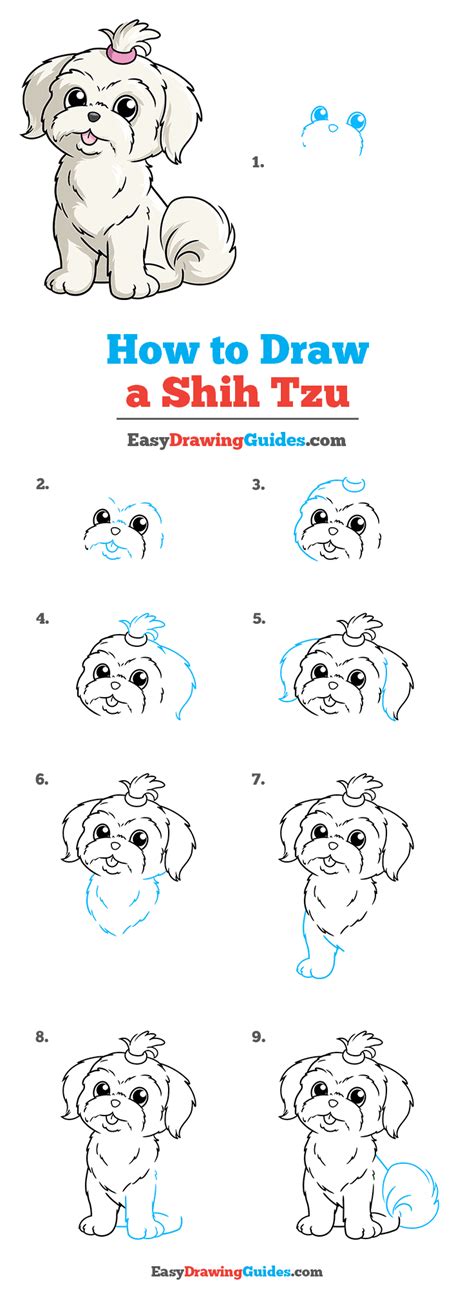 How to Draw a Shih Tzu - Really Easy Drawing Tutorial | Dog drawing ...