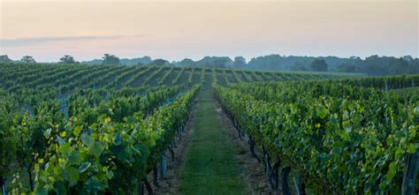 Get To Know New York’s Wine Growing Regions - WineCountry.com