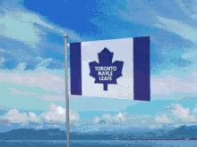 Toronto Maple Leafs Go Leafs Go GIF - Toronto Maple Leafs Go Leafs Go ...