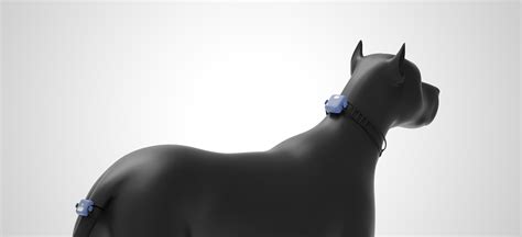 AI Pet Device on Behance