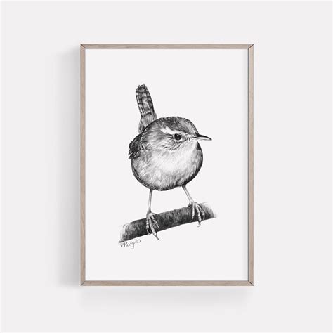 PRINTABLE Wren Art Print Wren Pencil Drawing Wall Art Garden - Etsy Canada