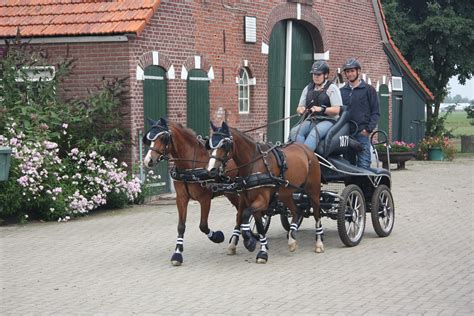 20140713-1034-28 | Horse and Carriage Driving Competition 20… | Flickr