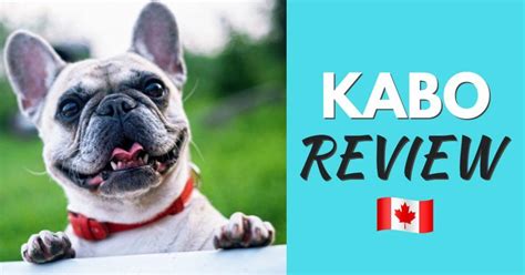 Kabo Dog Food Review: Fresh Dog Food Delivery - Dog Endorsed