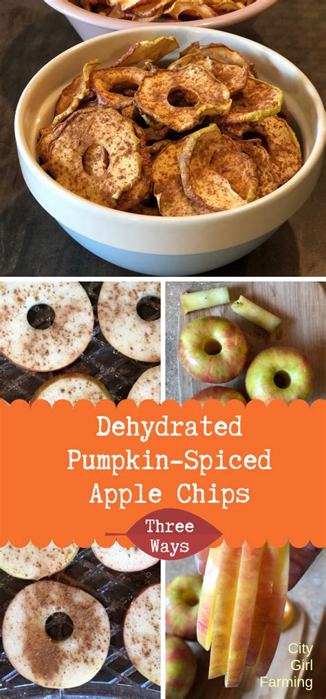 Dehydrated Spiced Apples (Three Ways) - CITY GIRL FARMING