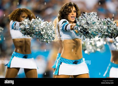 Carolina panthers cheerleaders hi-res stock photography and images - Alamy