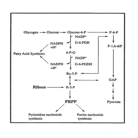 Cureus | Potential Clinical Benefits of D-ribose in Ischemic Cardiovascular Disease