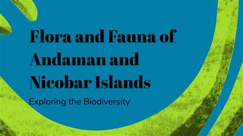 Flora and Fauna of Andaman and Nicobar Islands by Bhavin Bhardwaj on Prezi