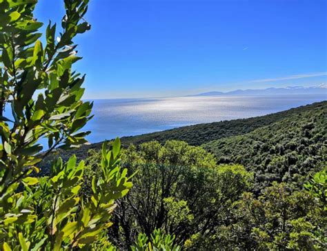 Hiking Trekking in skopelos | Skopelos Activities