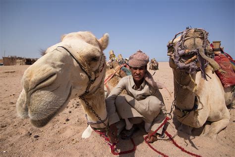 Desert Safari: Egypt -MonkBoughtLunch