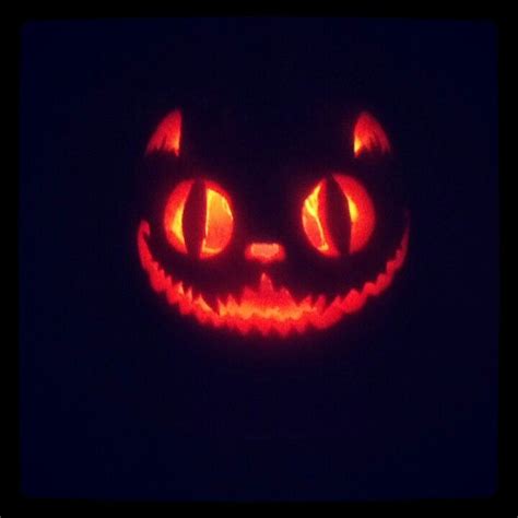 Cheshire Cat pumpkin | Halloween pumpkin carving stencils, Cat pumpkin carving, Pumpkin ...