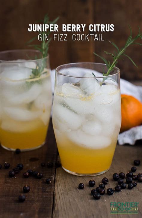 Juniper Berry Citrus Gin Fizz Cocktail | Recipe | Berry drinks, Gin ...