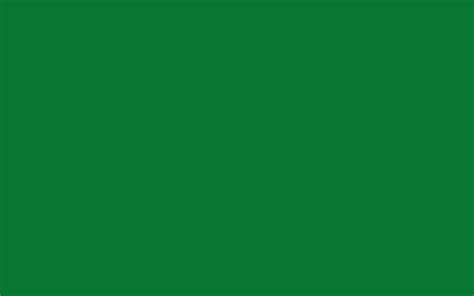 Solid Color Backgrounds Green – Warehouse of Ideas