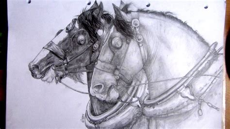 Draft Horse Drawing at GetDrawings | Free download