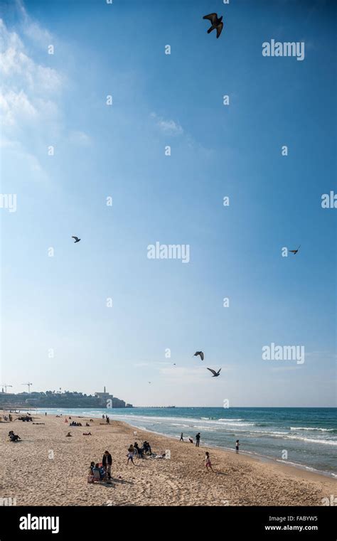 Israel, Tel Aviv, view of Jaffa from the beach Stock Photo - Alamy