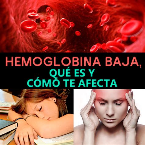 Hemoglobina baja: causas, síntomas y tratamiento - La Guía de las Vitaminas