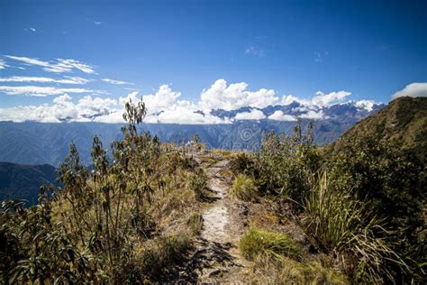 Peaceful Hiking Trail - Peruvian Andes Stock Photo - Image of altitude ...