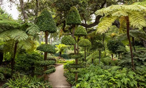 Lotusland Book Tours Historical Botanic Garden in Montecito, California ...