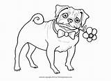Printable Pug Dog Coloring Pages sketch template