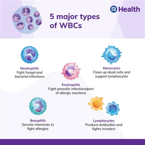 Pin on Hematology