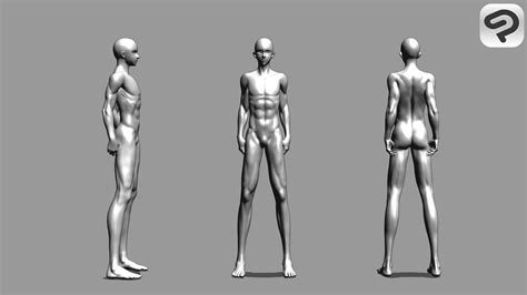 ArtStation - Clip studio model set | Resources