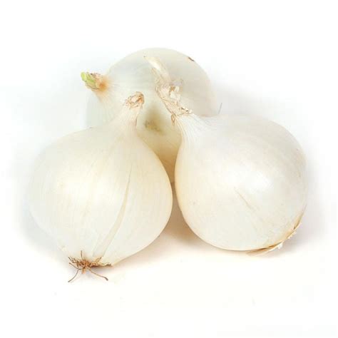 White Onion 1 Lb - Bidmeshk