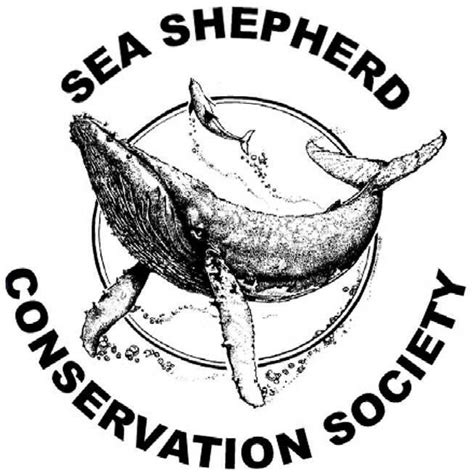 Sea Shepherd logo | Ballenas, Proteccion animal, Ballena