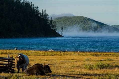 Tours to Khuvsgul (Hovsgol) Lake Mongolia | Lake Hövsgöl | khuvsgul lake