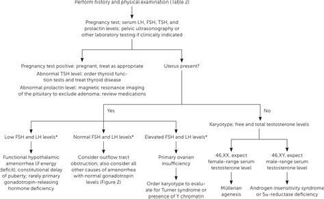 Primary Amenorrhea Algorithm