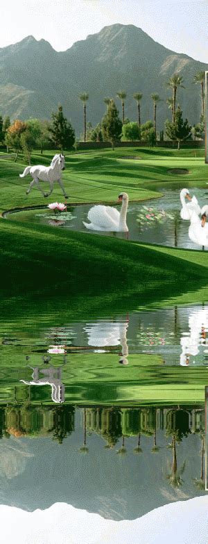 two white swans swimming in the water on a golf course with mountains in the background