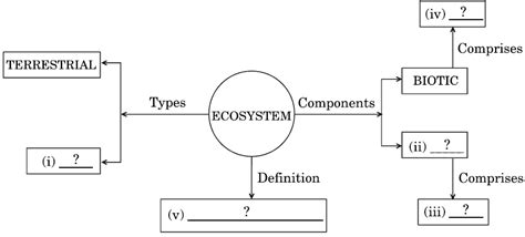 Complete the following flow chart based on ecosystem and its components.