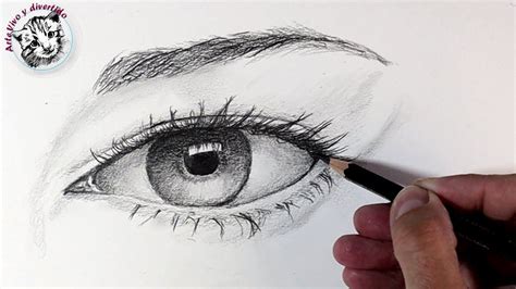 Como Dibujar Un Ojo Y Sus Partes Paso A Paso Y Muy Facil Dibujos Para ...